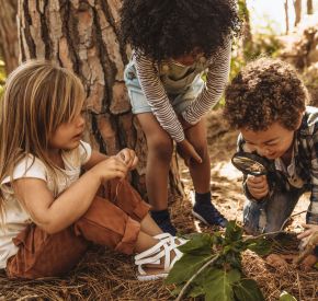 Kinder untersuchen im Wald eine Pflanze